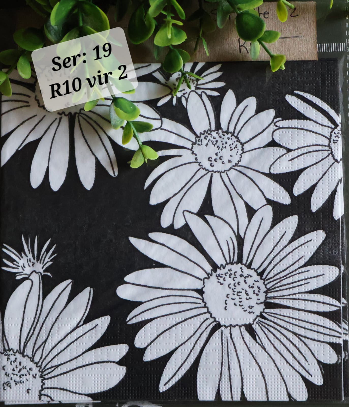 Black Daisies