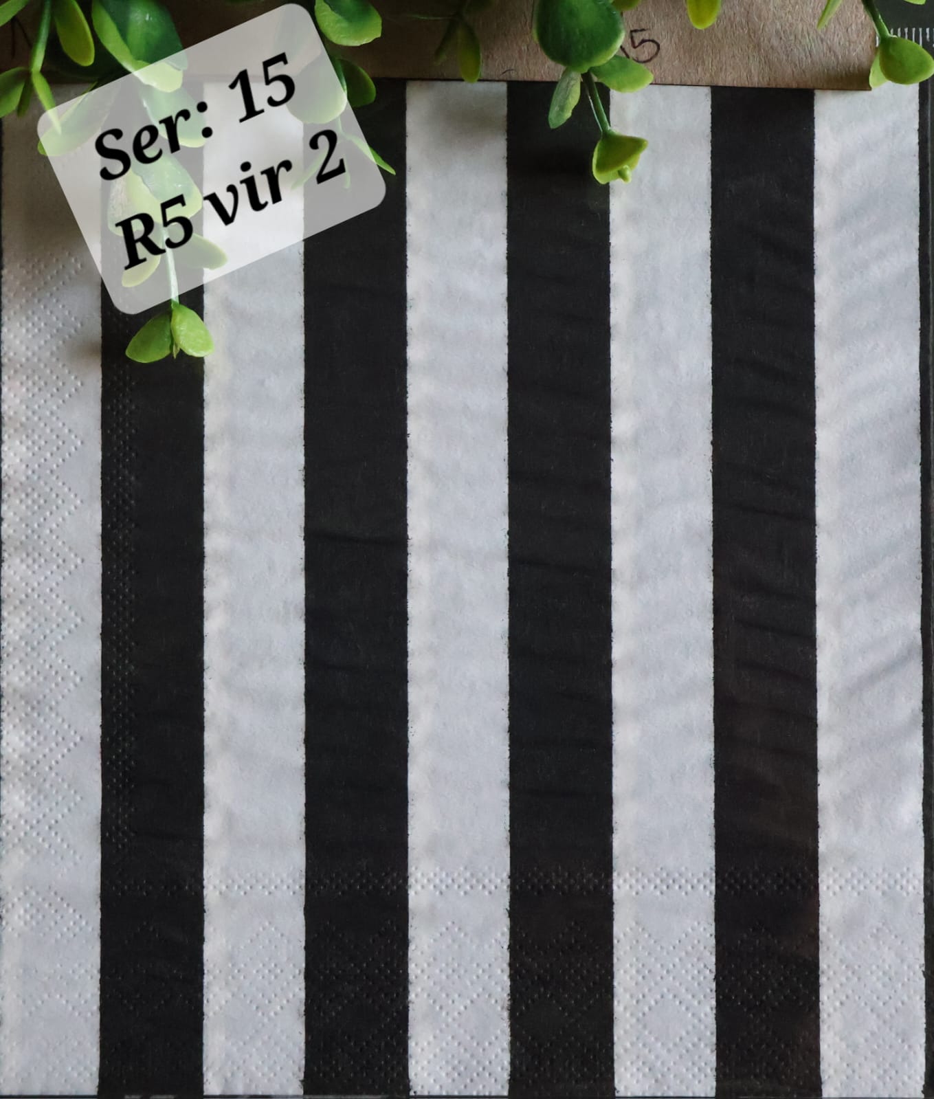 Black and White Stripes