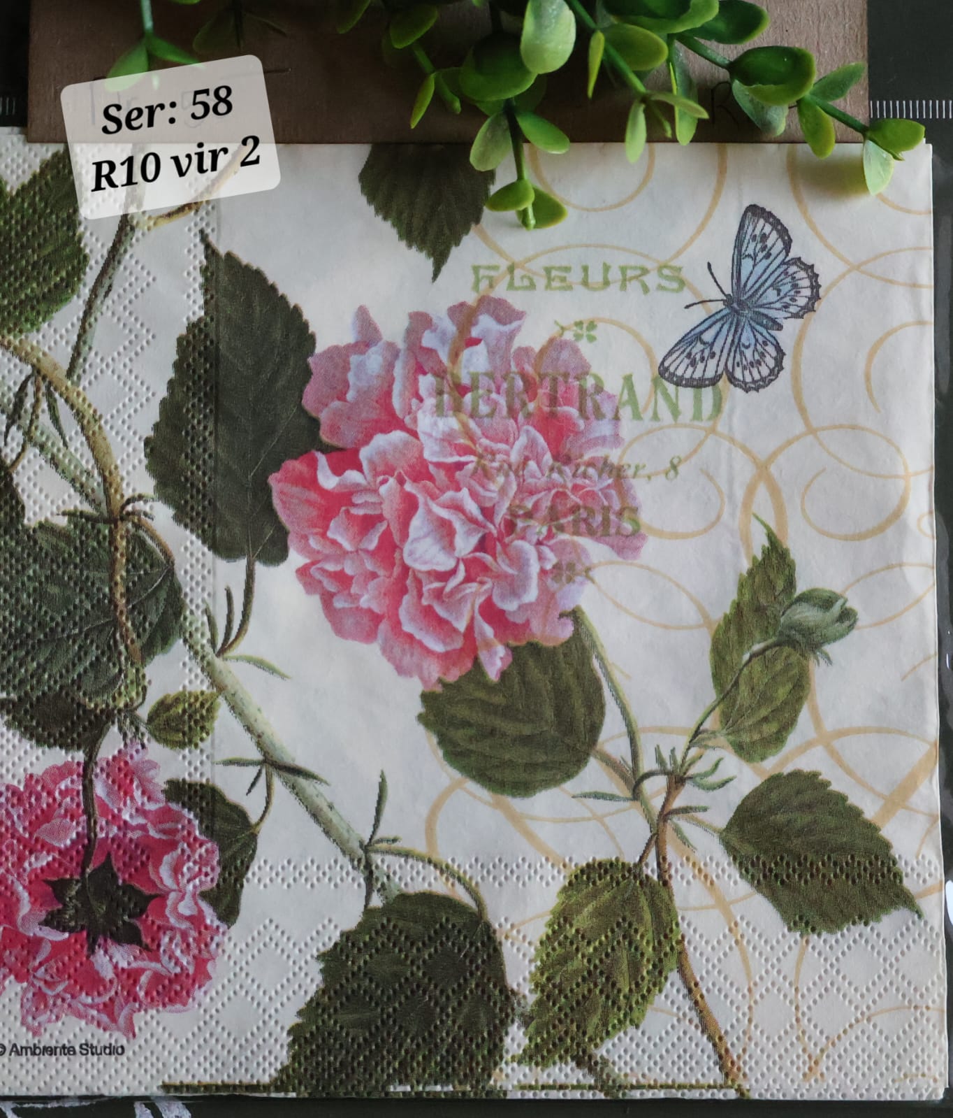 Butteflies and Flowers