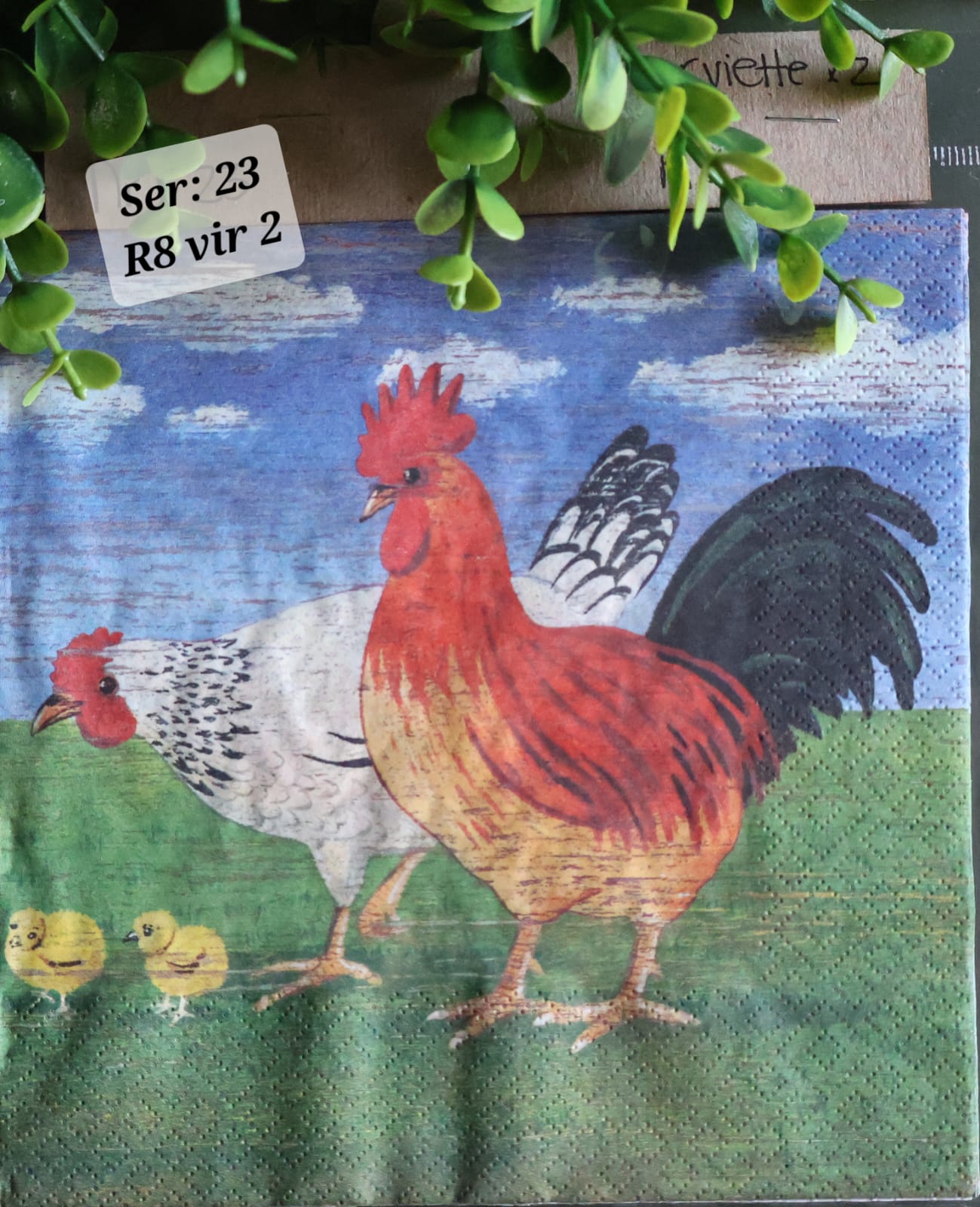 Chicken on a Farm