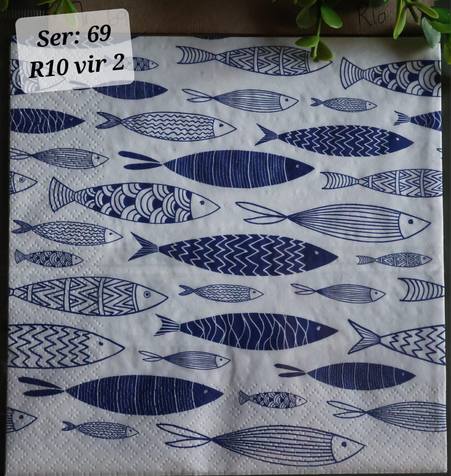 Fish