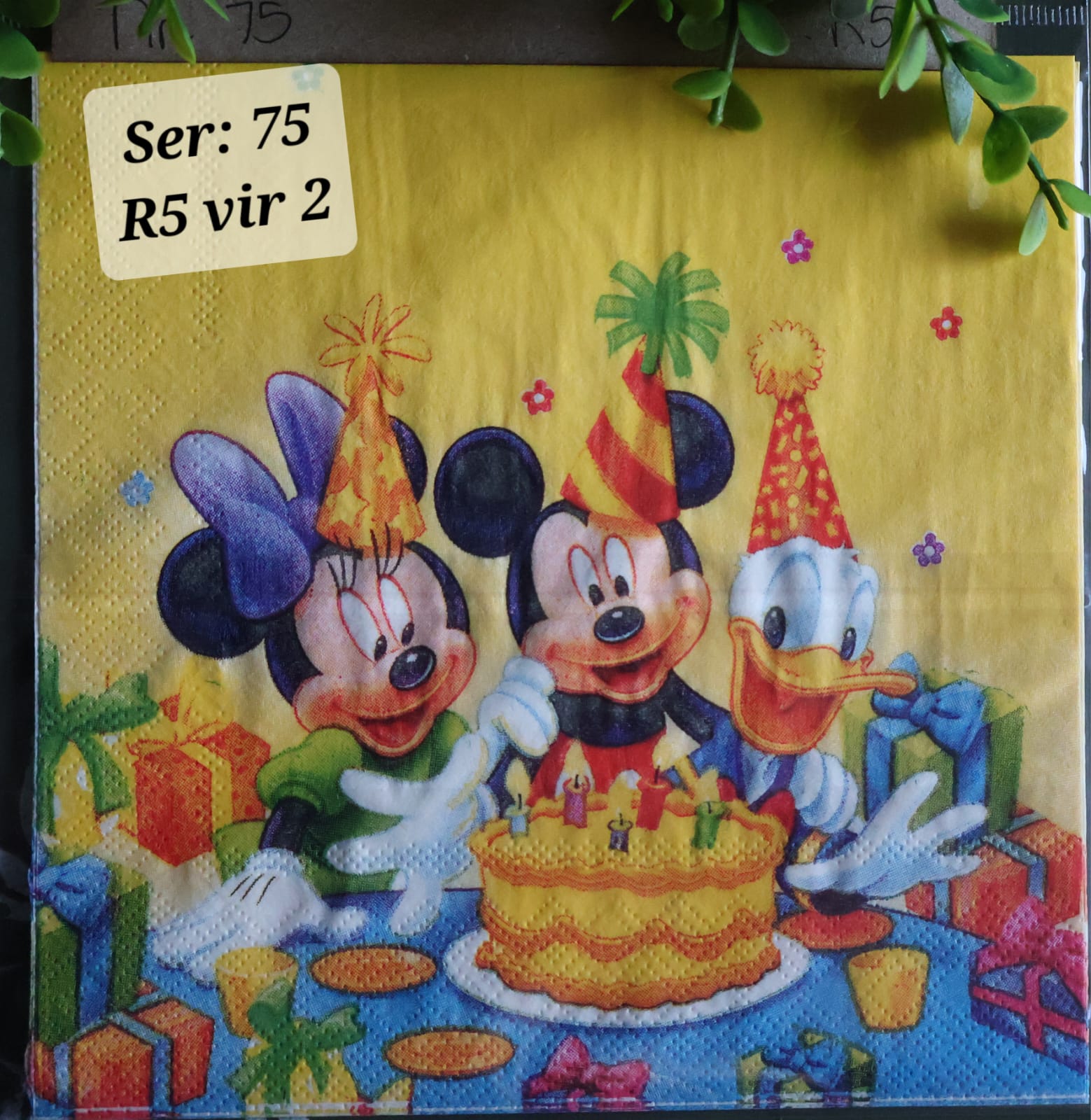 Micky Mouse Party