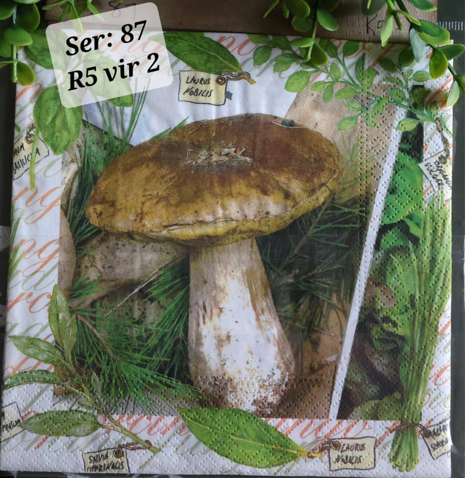 Mushrooms