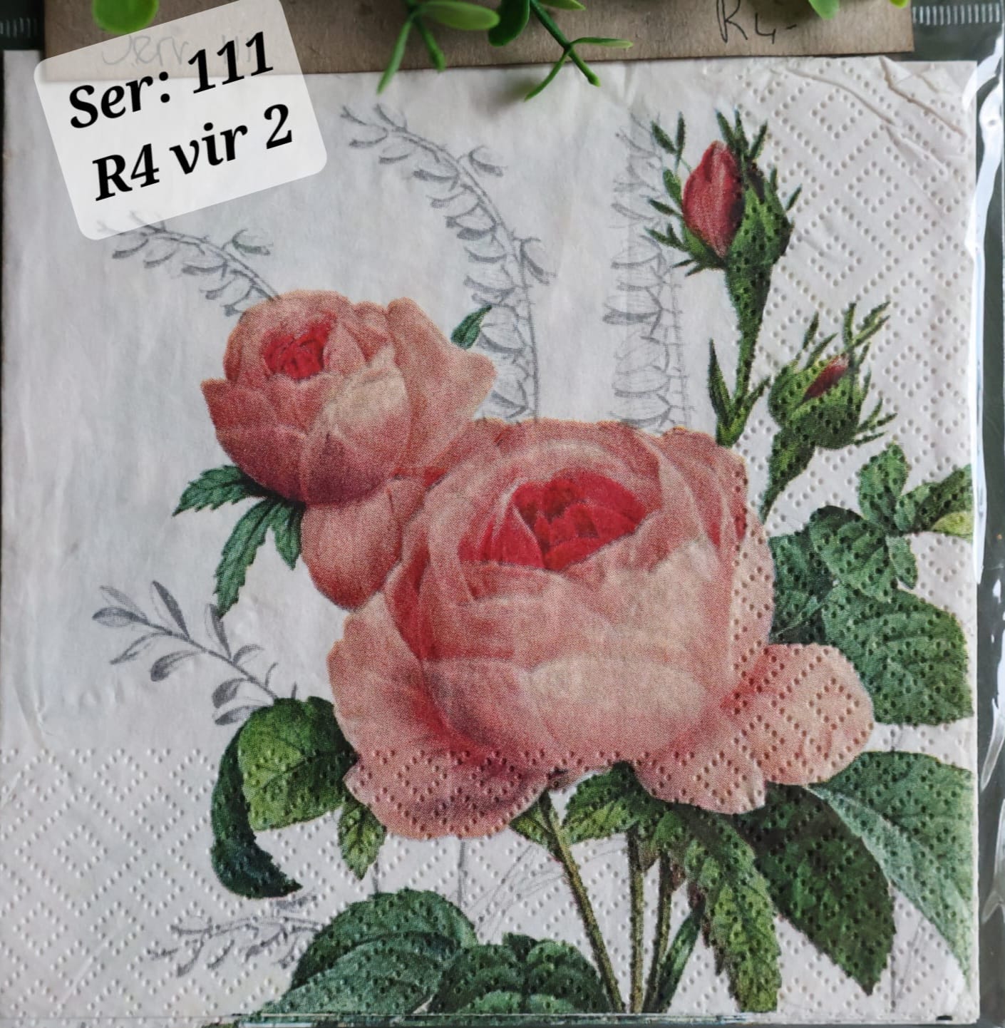 Pink Roses