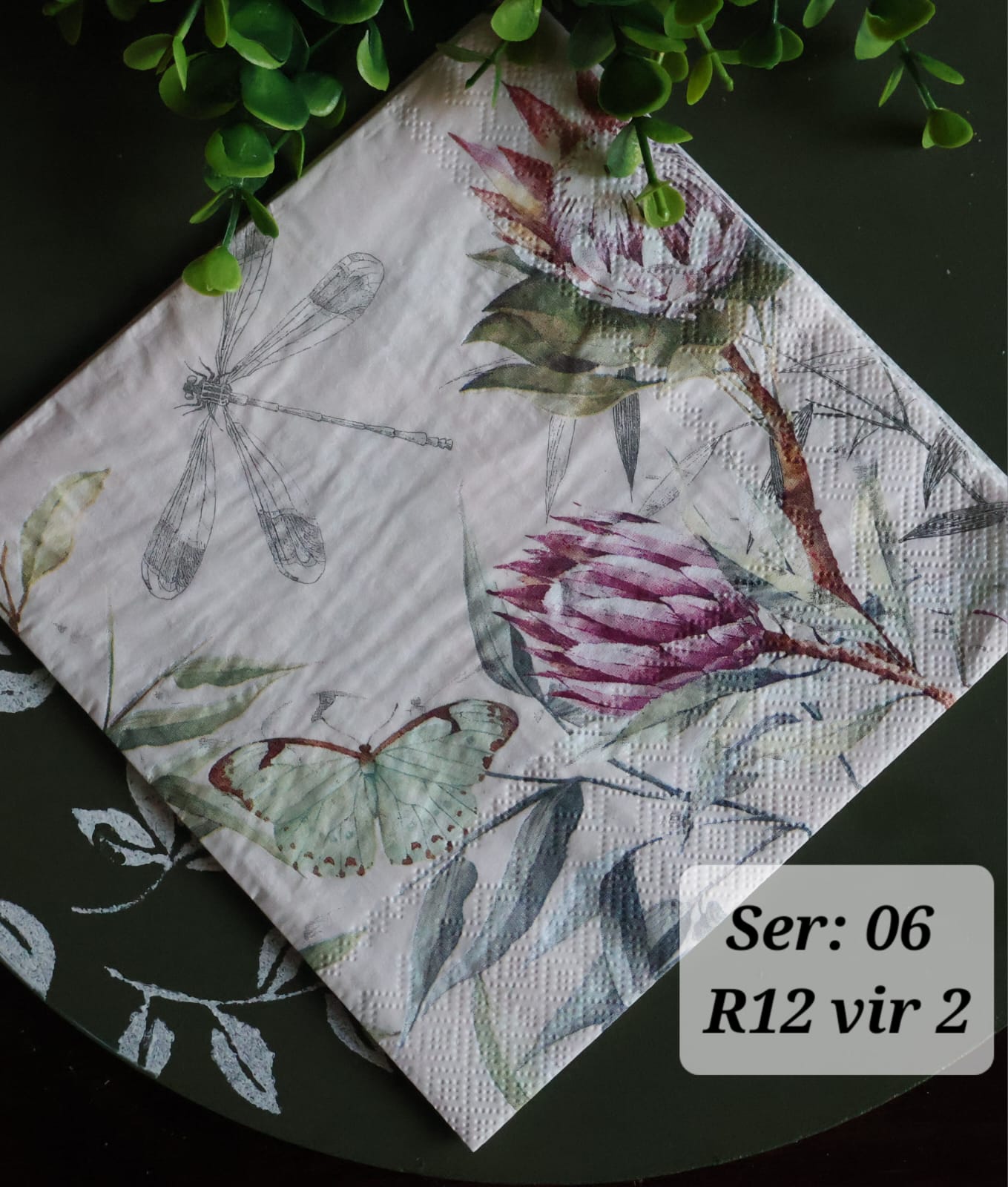 Protea with Butterfly