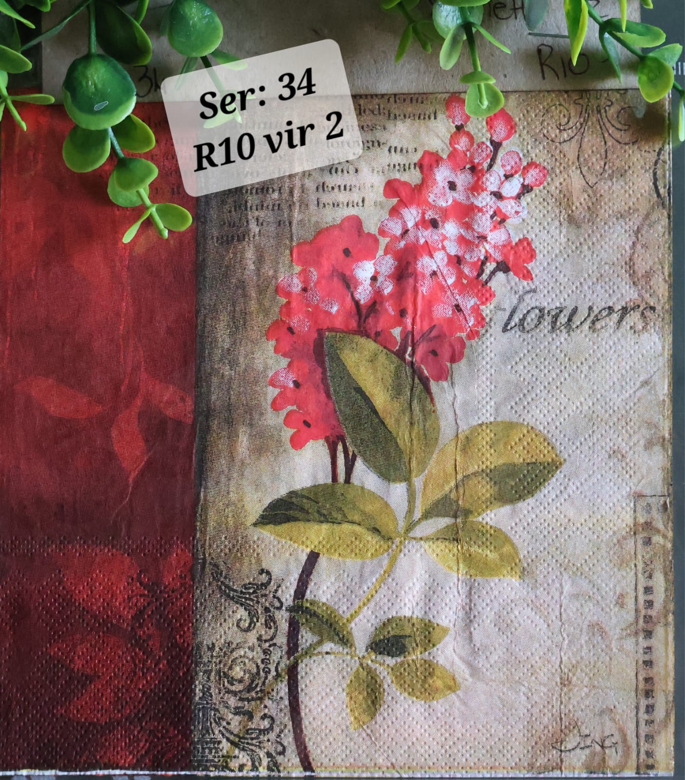Red Soft Flowers