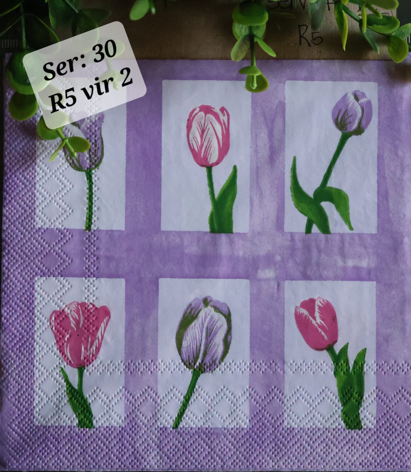Tulips