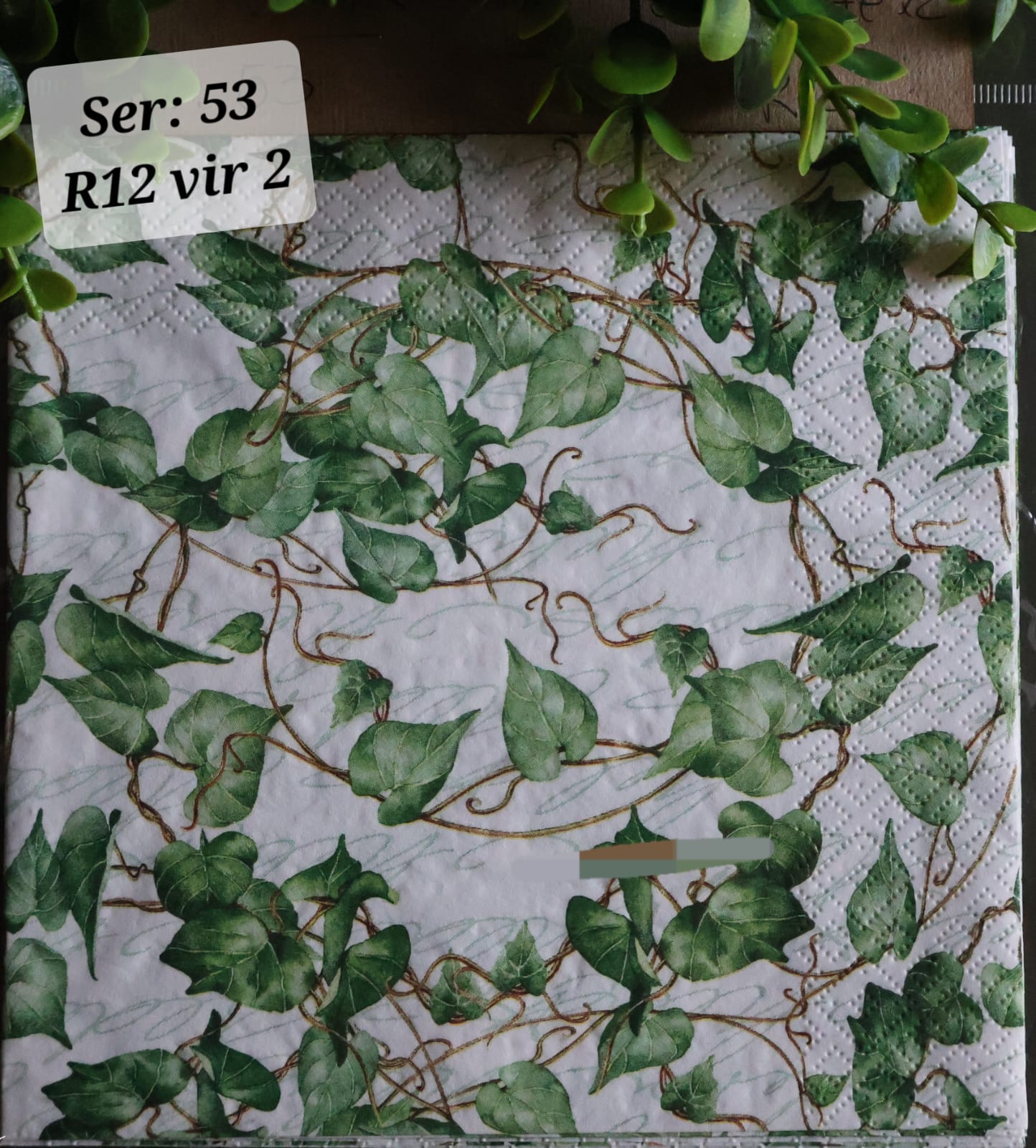 Vines