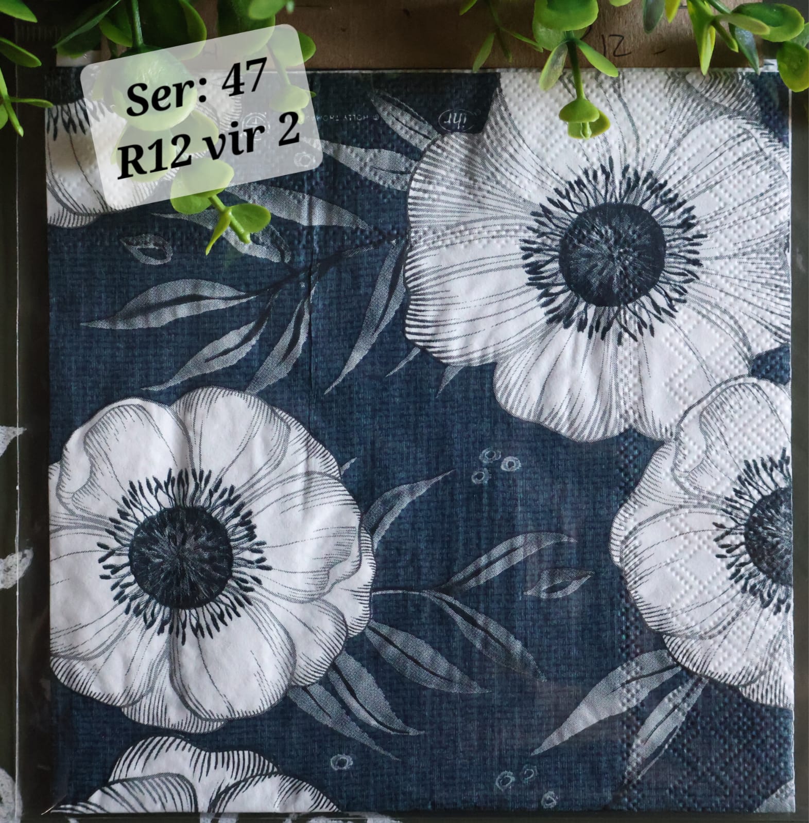 White & Blue Flowers