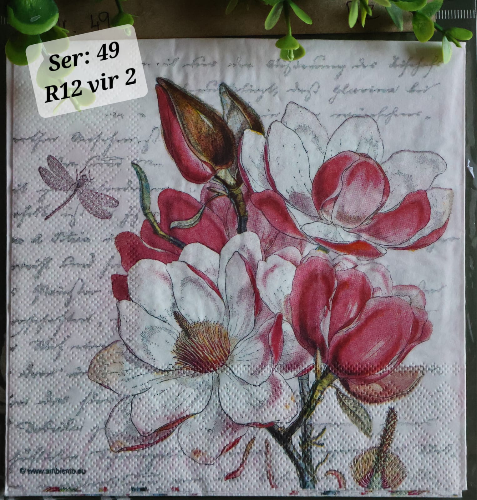 Words and Flowers